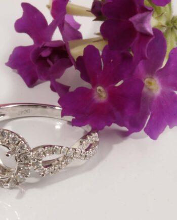 18KWG Infinity Style .47TDW Halo Style Semi-Mount