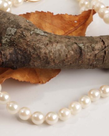 14K YG 16" Pearl Strand 5.5 x 5mm