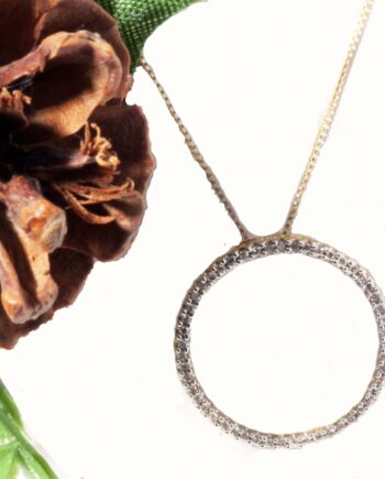 14KYG Circle Pendent with Chain