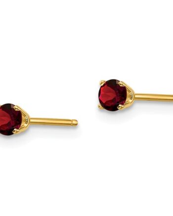 14KY Garnet January Earring