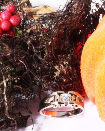 14K WG Men's Dia Ring