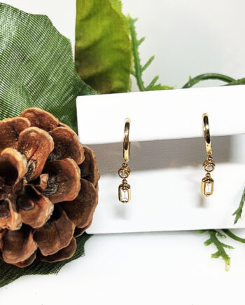 14KY Dangle Earring with Dia