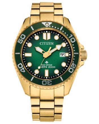Mens Eco-Drive Citizen Watch
