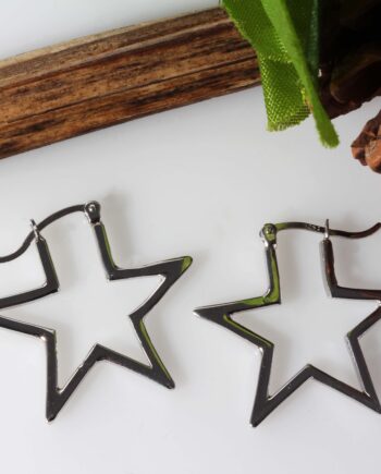 SS Star Earrings