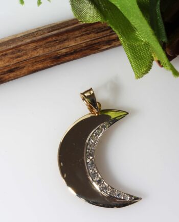 14K YG Moon W/ Diamonds Pendant